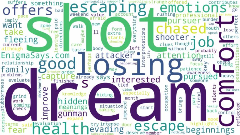 dreaming of being chased and shot at and related dreams with their meanings in a word cloud