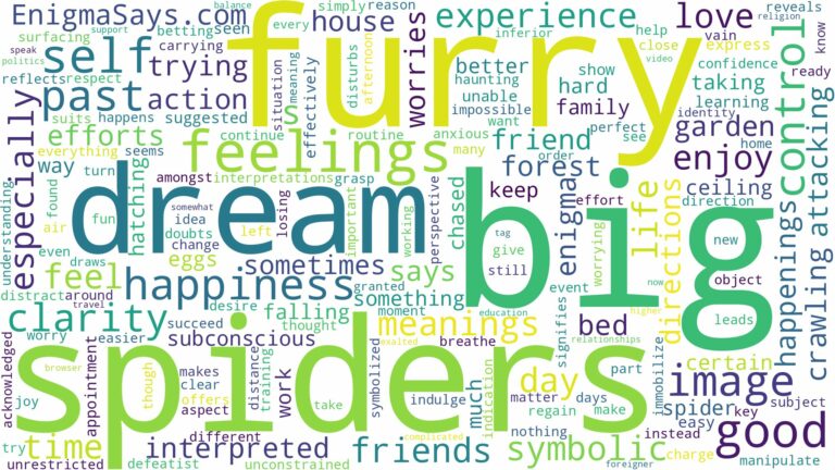 dream about big furry spiders and related dreams with their meanings in a word cloud
