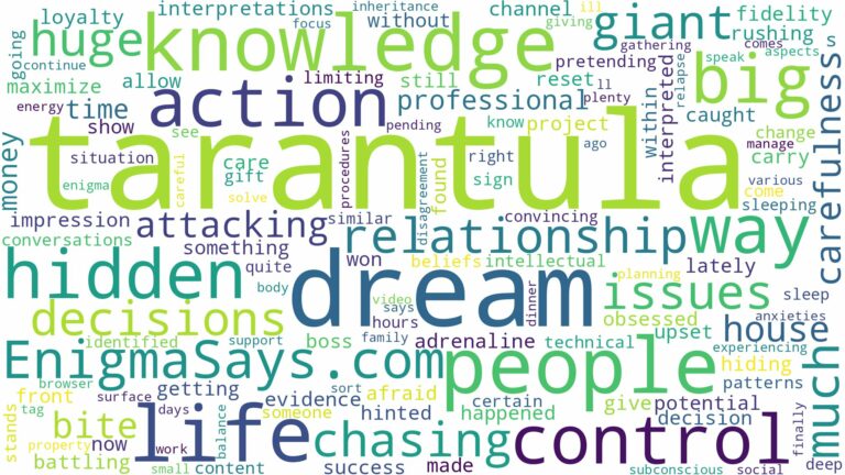 dream about big tarantula and related dreams with their meanings in a word cloud