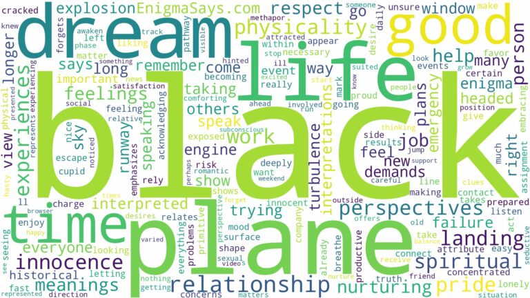dream about black plane and related dreams with their meanings in a word cloud