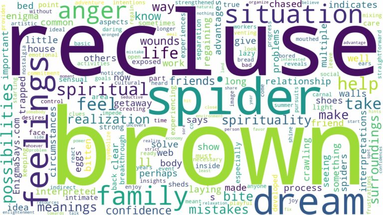 dream about brown recluse spider and related dreams with their meanings in a word cloud