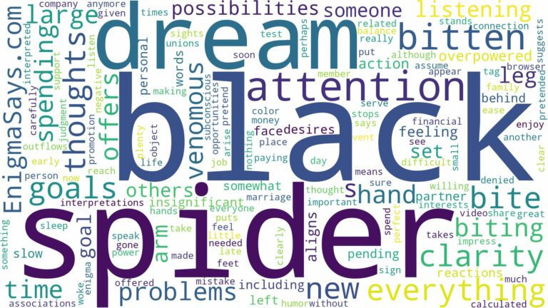 dreaming of being bitten by a black spider and related dreams with their meanings in a word cloud