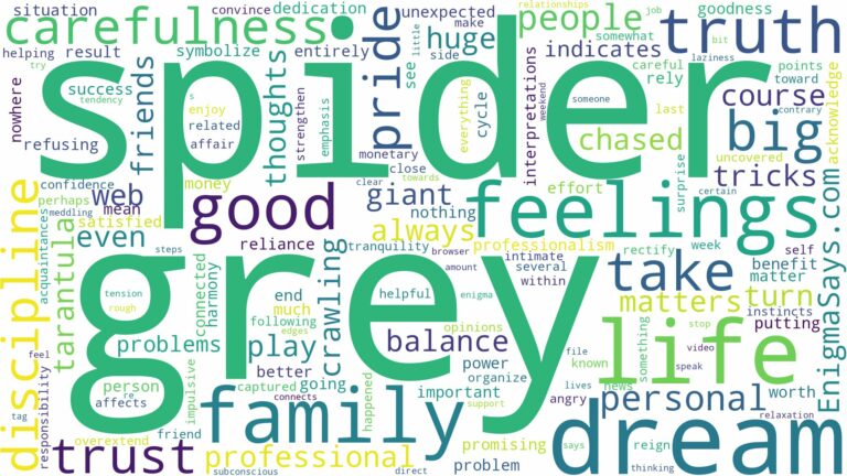 dream about big grey spider and related dreams with their meanings in a word cloud
