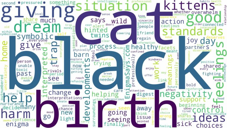 dreaming about black cat giving birth and related dreams with their meanings in a word cloud