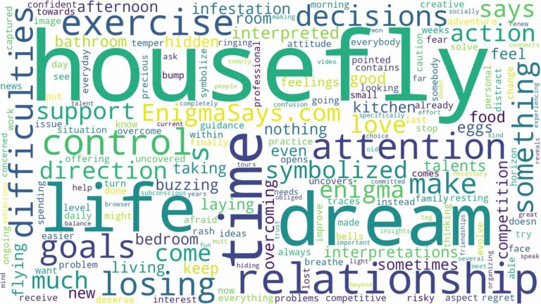 dream about housefly and related dreams with their meanings in a word cloud
