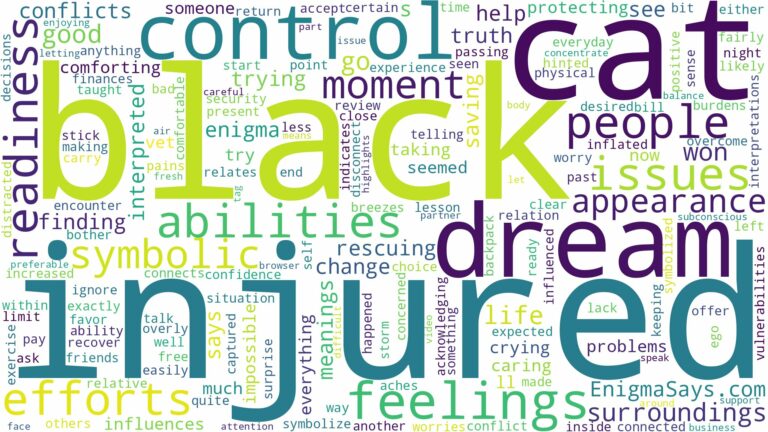 dream about injured black cat and related dreams with their meanings in a word cloud
