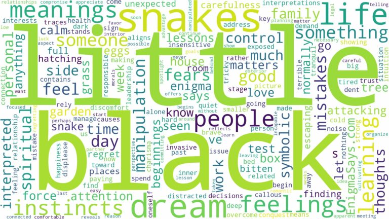 dream about little black snakes and related dreams with their meanings in a word cloud