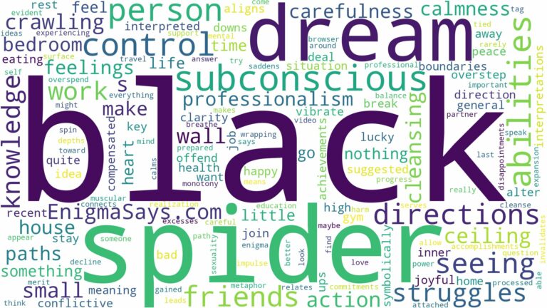 dreaming of seeing a black spider and related dreams with their meanings in a word cloud