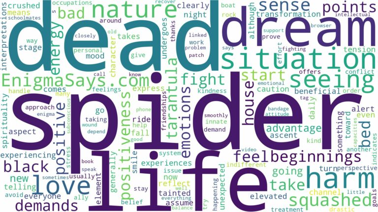 dreaming of seeing a dead spider and related dreams with their meanings in a word cloud