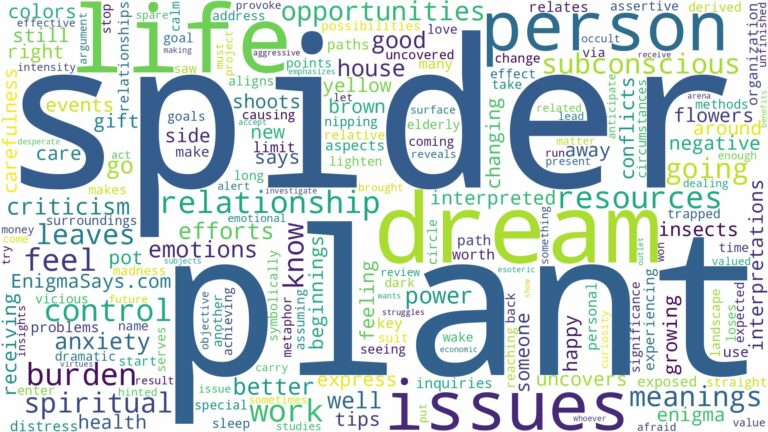 dream about spider plant and related dreams with their meanings in a word cloud