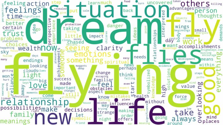 dream about a fly and related dreams with their meanings in a word cloud