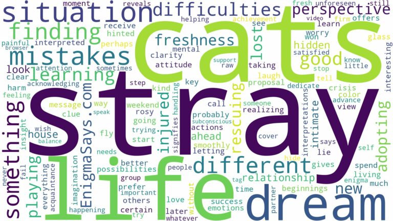 dreaming of finding stray cats and related dreams with their meanings in a word cloud
