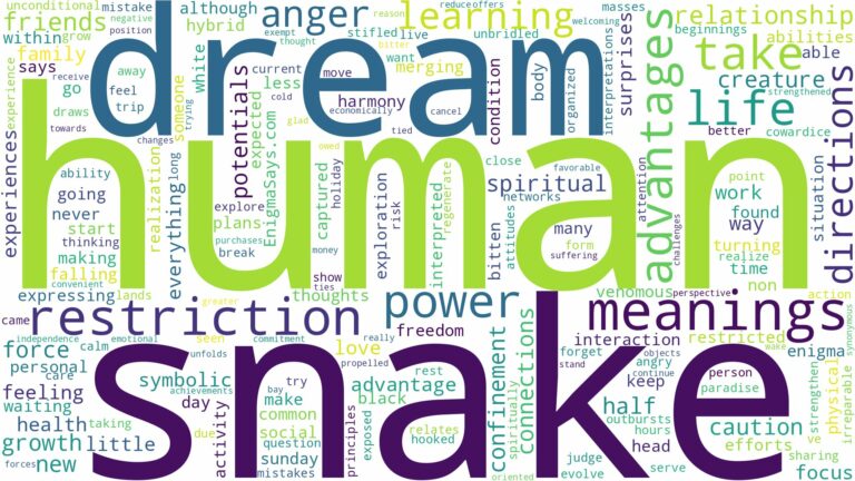 dream about human snake and related dreams with their meanings in a word cloud