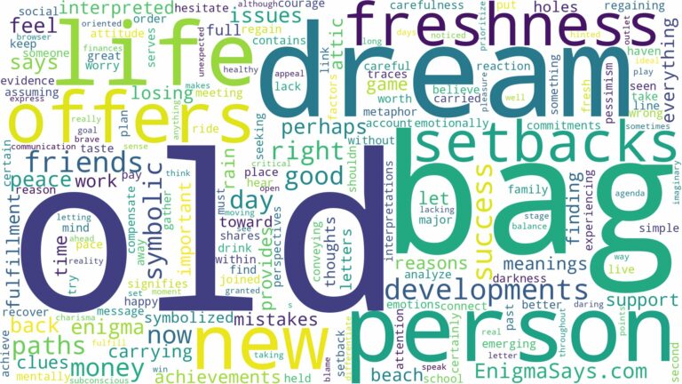 dream about old bag and related dreams with their meanings in a word cloud