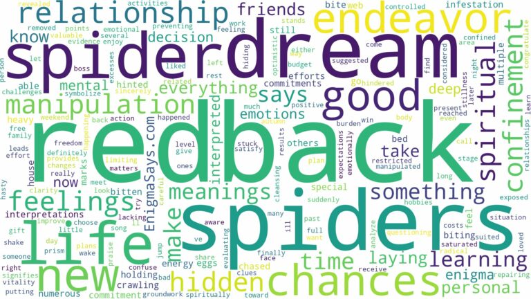 dream about redback spiders and related dreams with their meanings in a word cloud