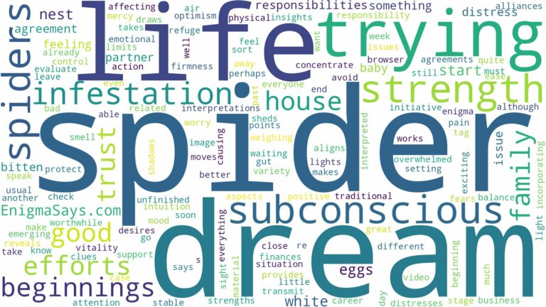 dream about spider infestation and related dreams with their meanings in a word cloud