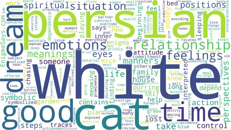 dream about white persian cat and related dreams with their meanings in a word cloud
